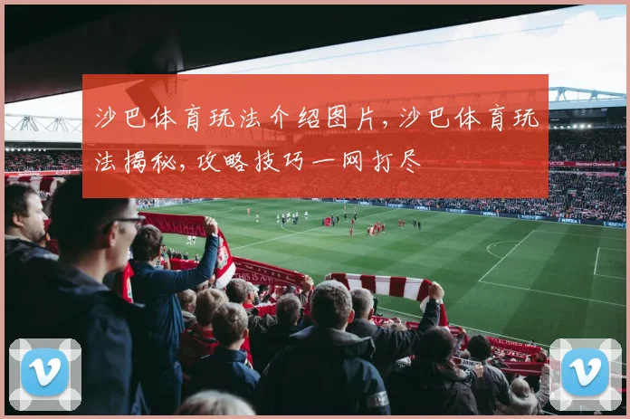沙巴体育玩法介绍图片,沙巴体育玩法揭秘,攻略技巧一网打尽